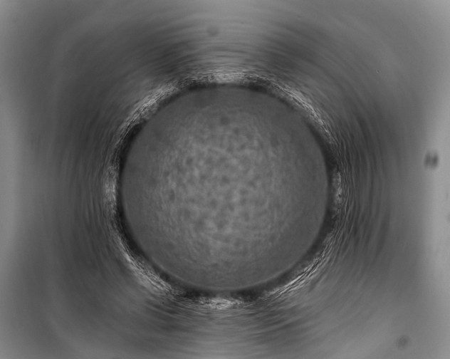 X0000100950542200807011311