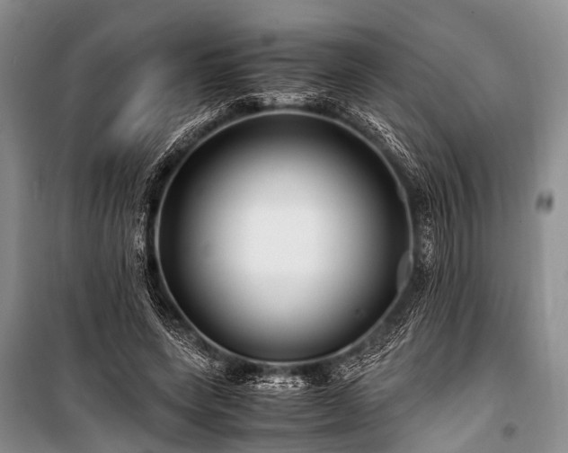X0000100950543200807011311