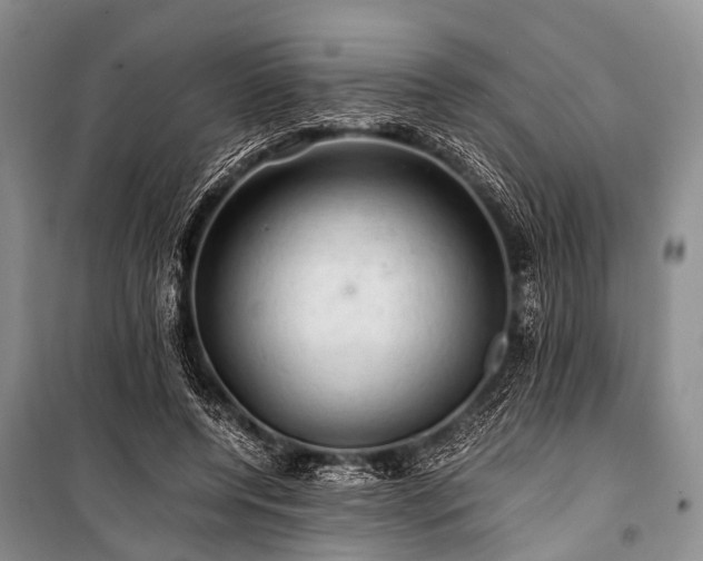 X0000100950544200807011311