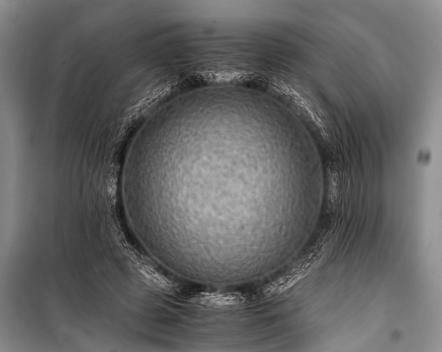 X0000100950545200807011311
