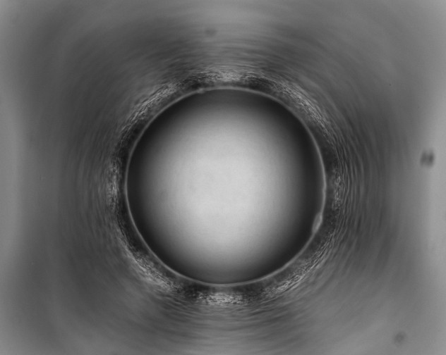 X0000100950546200807011311