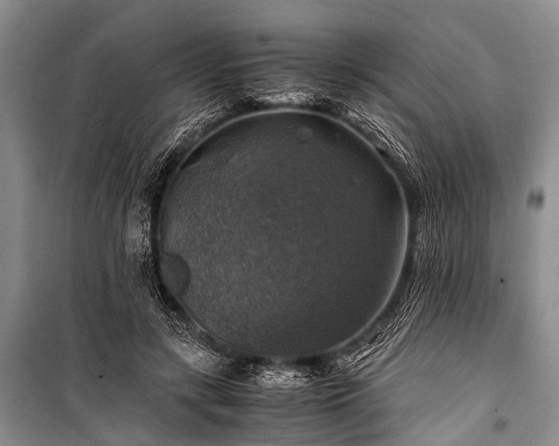 X0000100950547200807011311