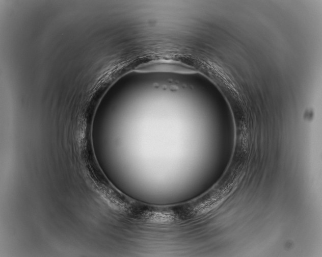 X0000100950548200807011311