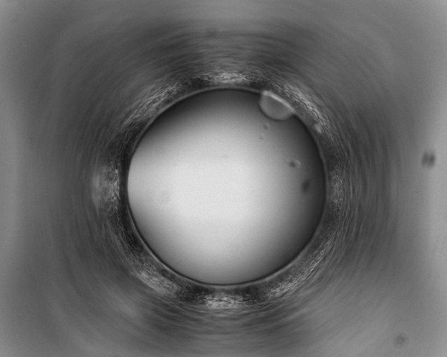 X0000100950549200807011311
