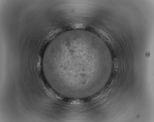 X0000100950550200807011311