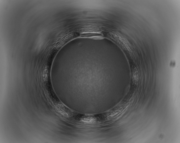 X0000100950551200807011311