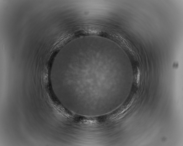 X0000100950552200807011311