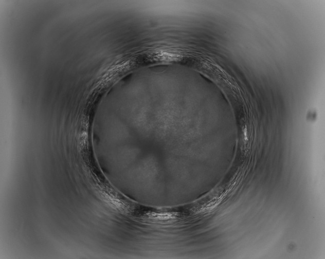 X0000100950553200807011311