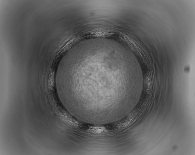 X0000100950554200807011311