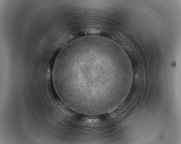 X0000100950555200807011311