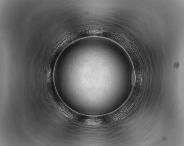 X0000100950556200807011311