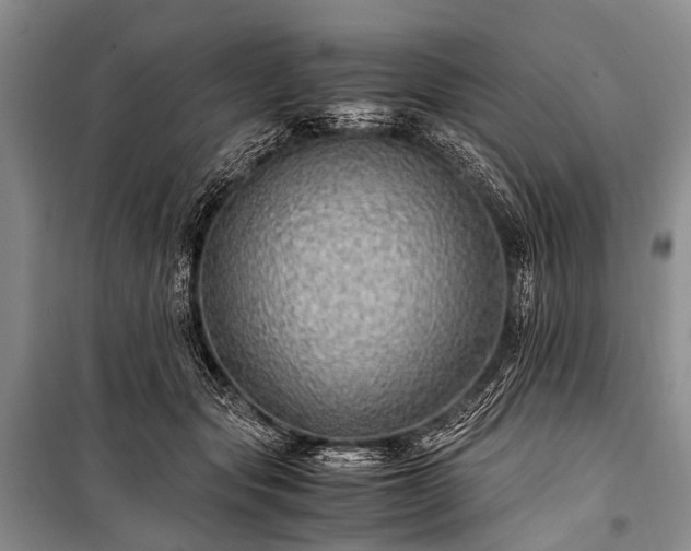 X0000100950557200807011311