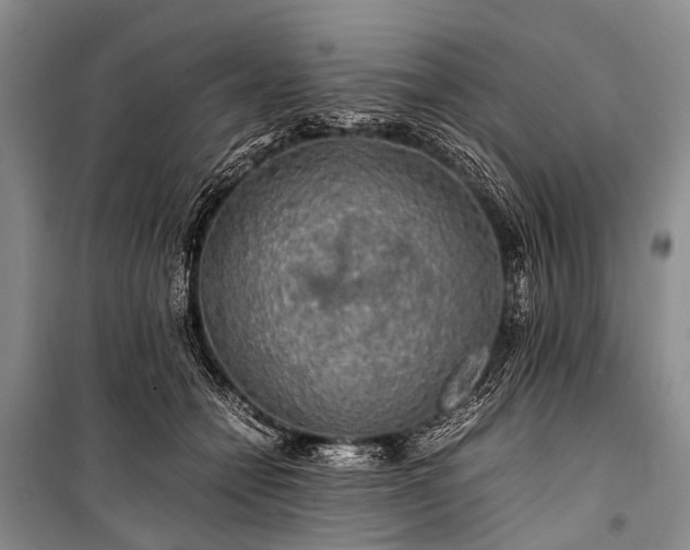 X0000100950558200807011311