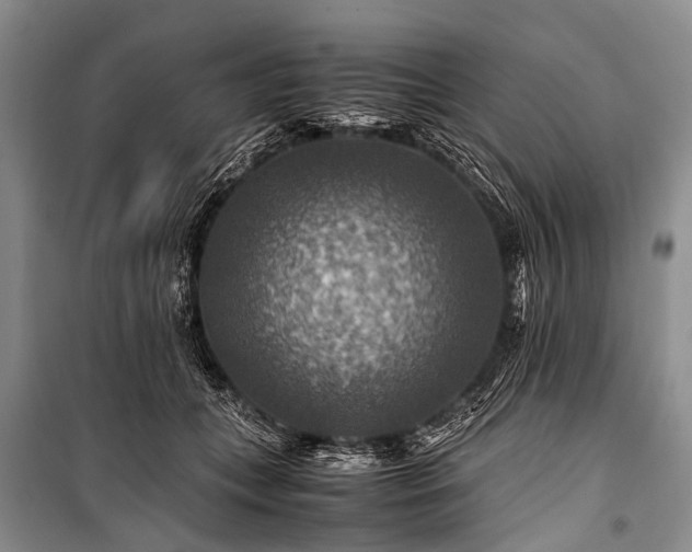 X0000100950559200807011311