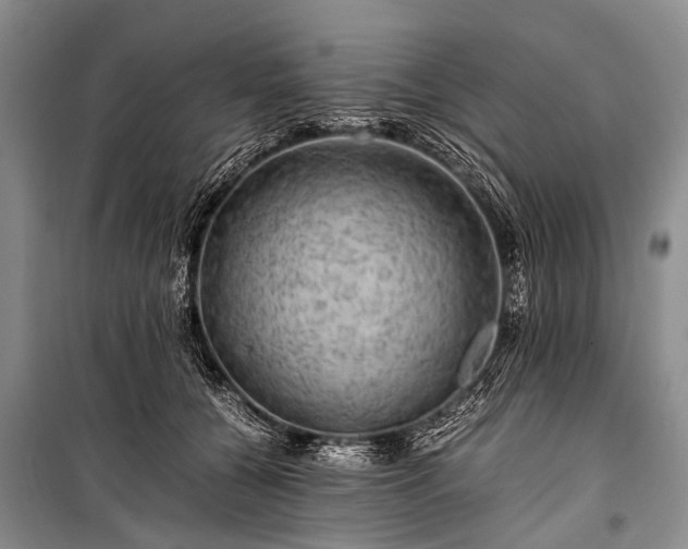 X0000100950560200807011311