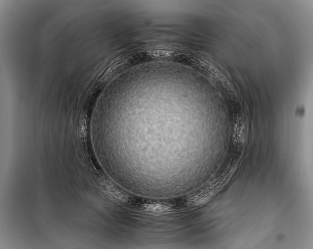 X0000100950561200807011311