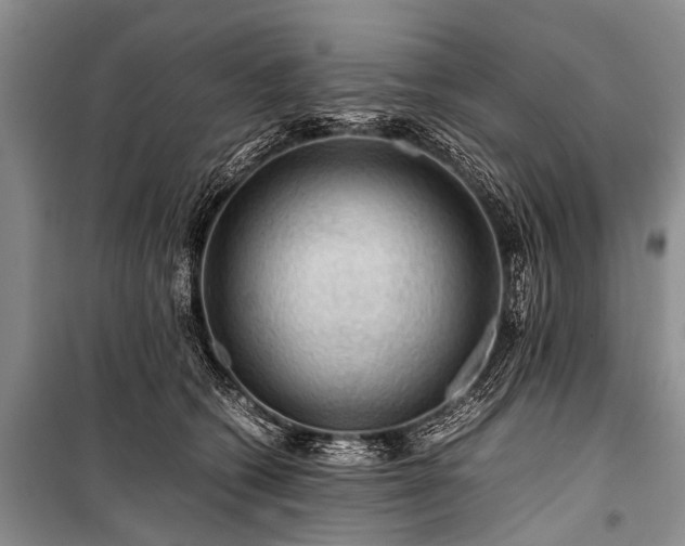 X0000100950562200807011311