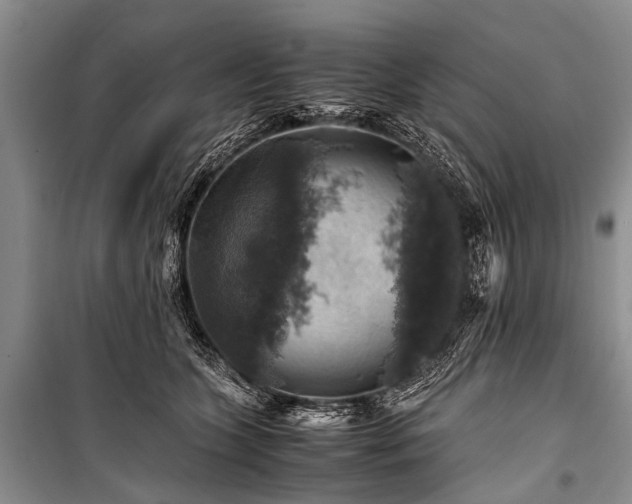 X0000100950563200807011311