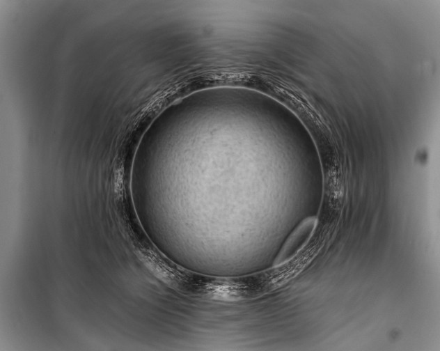 X0000100950564200807011311