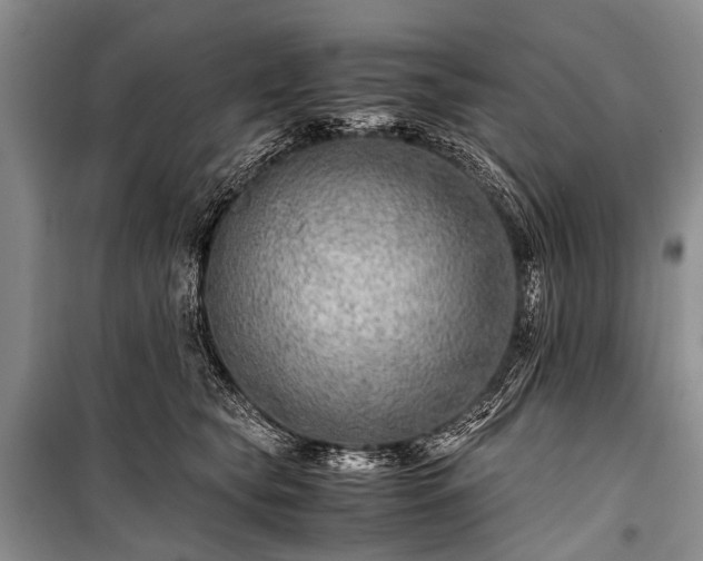 X0000100950565200807011311