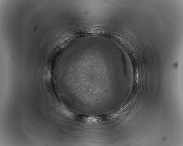 X0000100950566200807011311