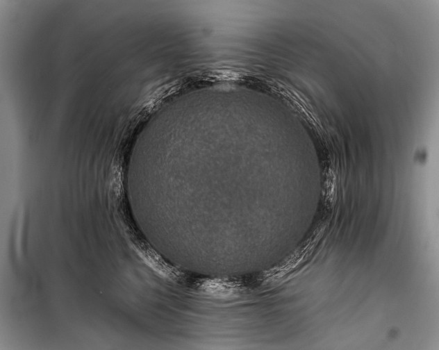 X0000100950568200807011311