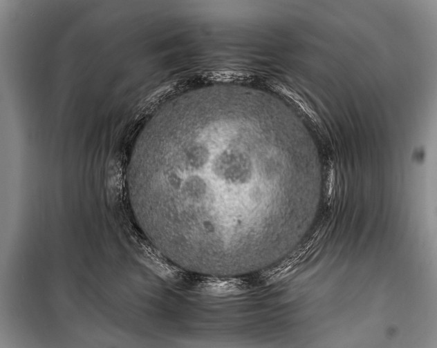X0000100950569200807011311