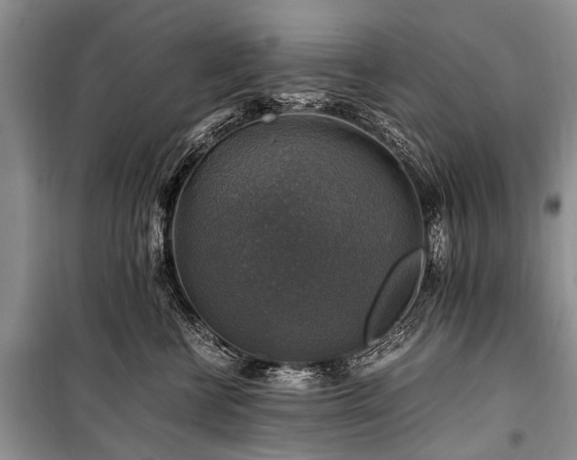 X0000100950570200807011311