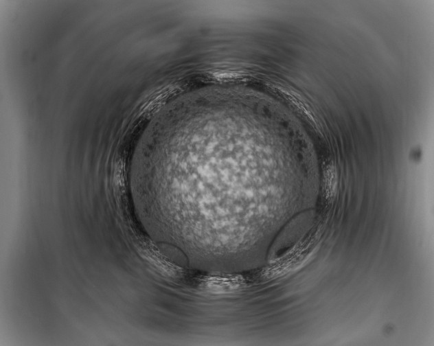 X0000100950571200807011311