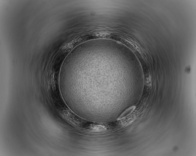 X0000100950572200807011311