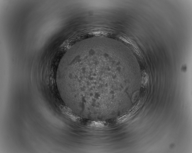 X0000100950573200807011311