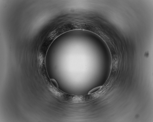 X0000100950574200807011311