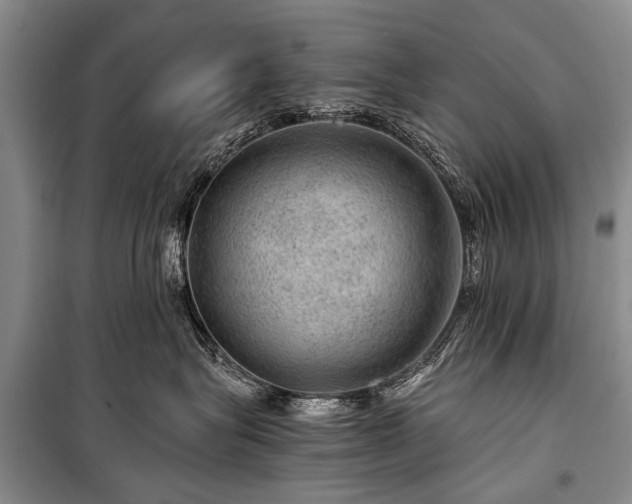 X0000100950575200807011311