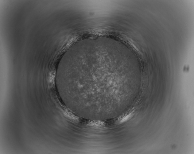 X0000100950576200807011311