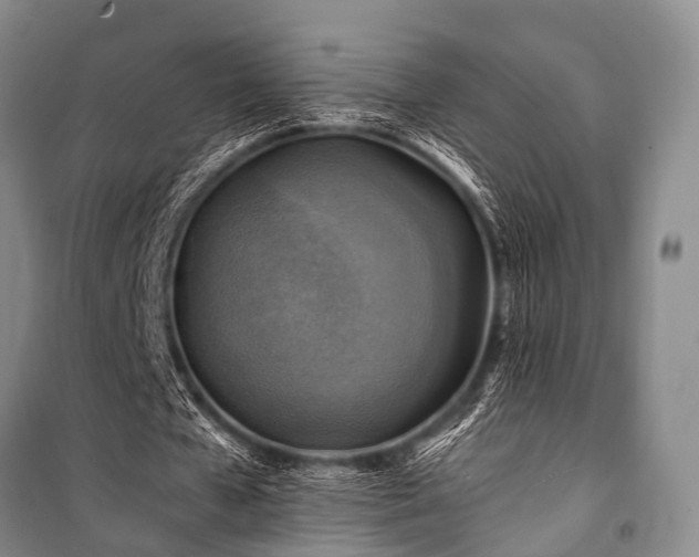 X0000100950577200807011311
