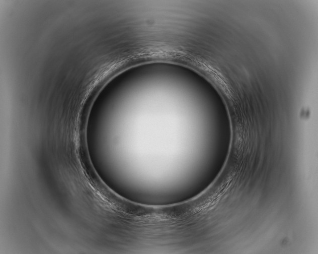 X0000100950578200807011311
