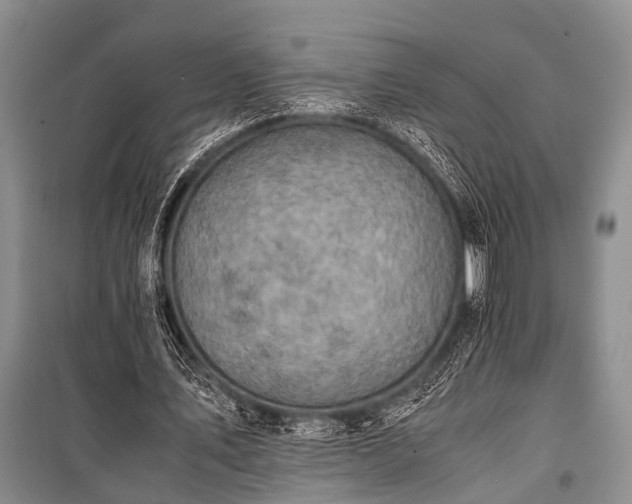 X0000100950579200807011311
