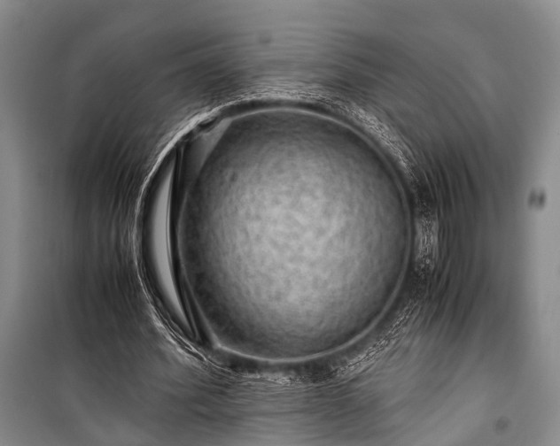 X0000100950580200807011311
