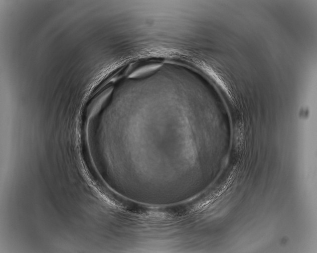 X0000100950581200807011311