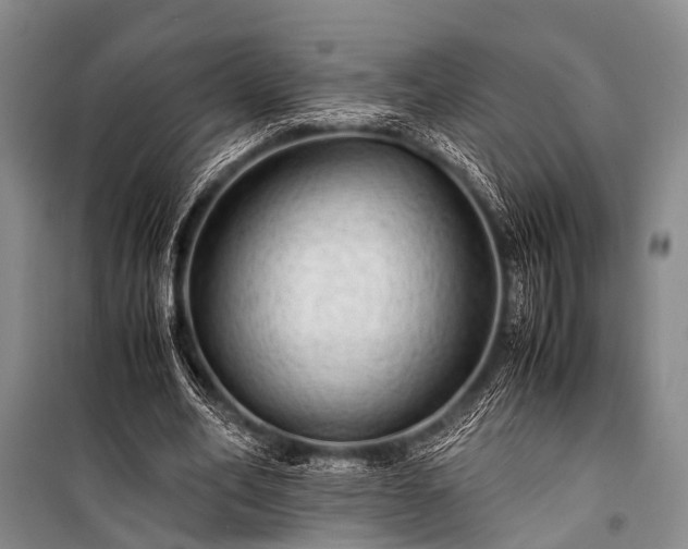 X0000100950582200807011311