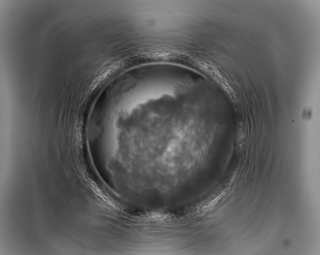 X0000100950585200807011310