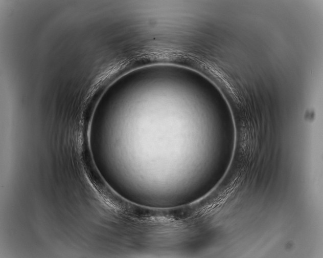 X0000100950586200807011310
