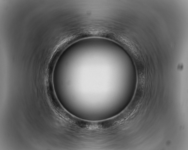 X0000100950587200807011310