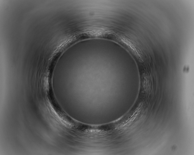 X0000100950590200807011310