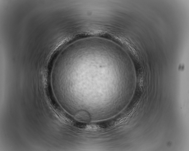 X0000100950591200807011310
