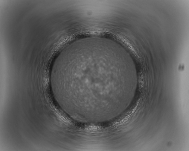 X0000100950593200807011310