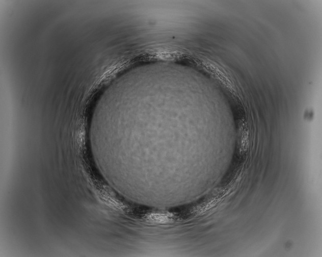 X0000100950595200807011310
