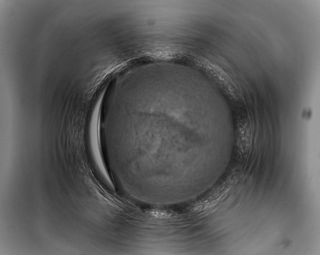X0000100950596200807011310