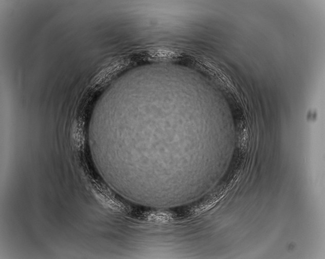 X0000100950599200807011310