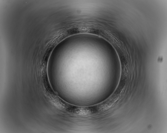 X0000100950601200807011310
